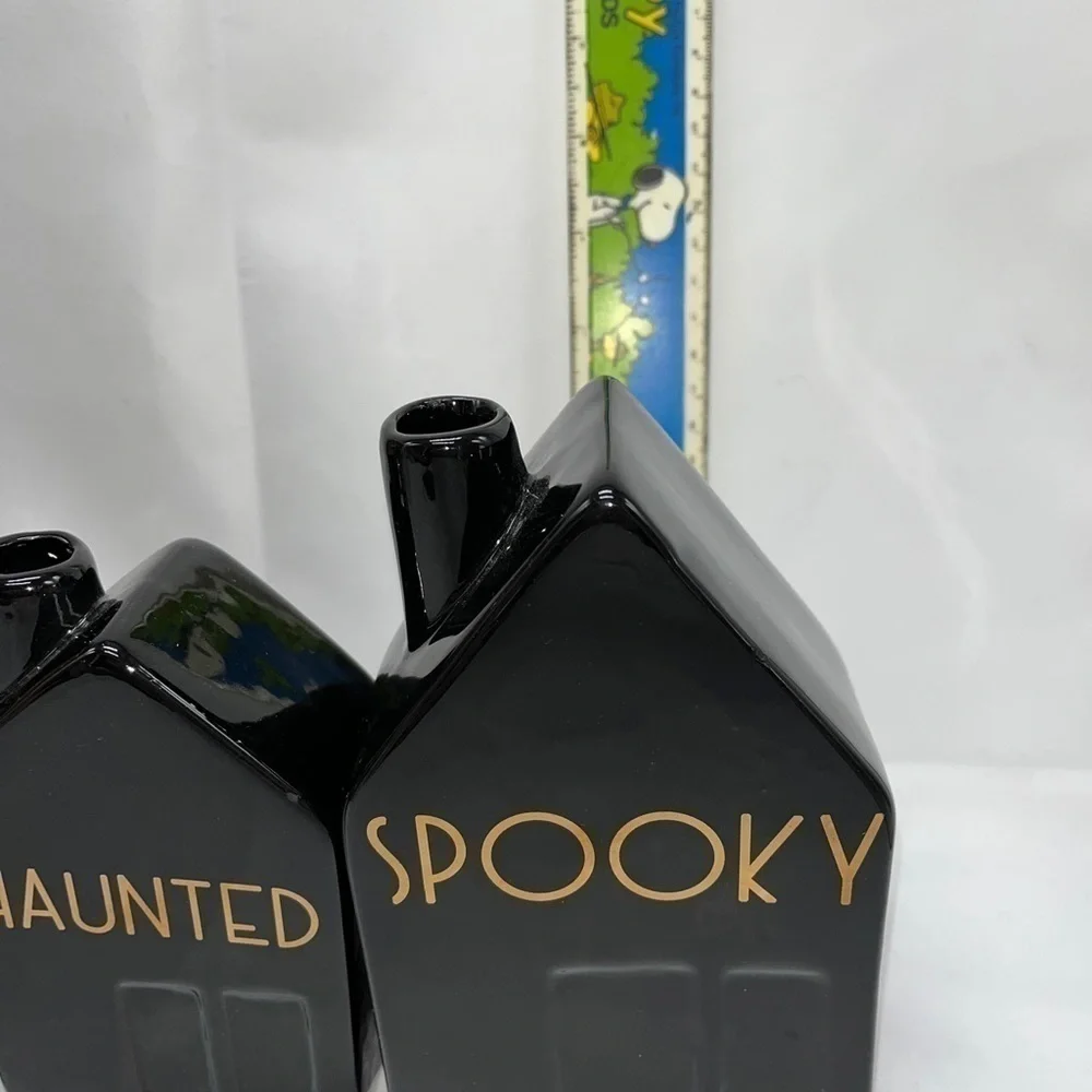 Halloween Black House Bud Vase Set Spooky